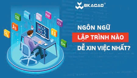 NGÔN NGỮ LẬP TRÌNH NÀO DỄ XIN VIỆC NHẤT HIỆN NAY?