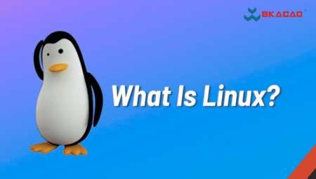 HIỂU ĐÚNG VỀ LPI VÀ GIÁ TRỊ CỦA LINUX